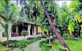 Rhino Lodge Bardia Pvt Ltd